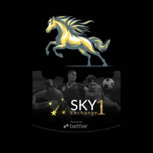 Sky1Exchange