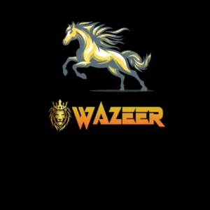 Wazeerexch.com